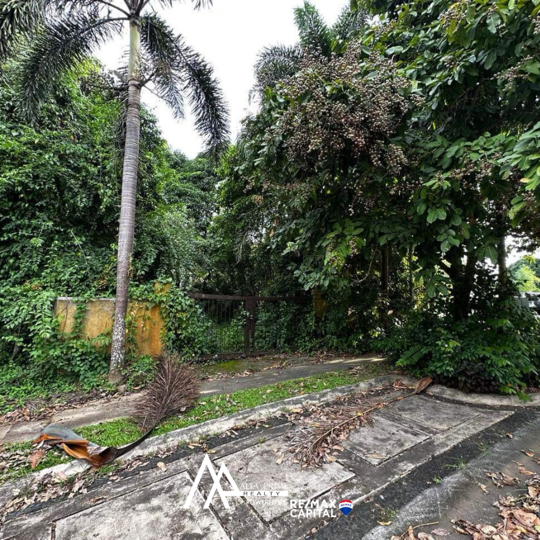For Sale: Vacant Lot in Ayala Westgrove Heights